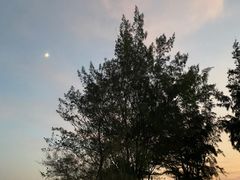 -江山半岛白浪滩景区