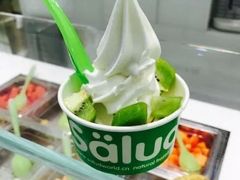冻酸奶-Salud撒露欧洲冻酸奶(蓝色港湾店)