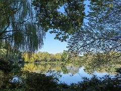 -西湖游船