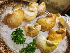 冰镇海螺-山之川日料放题(通州店)