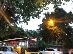 -肖肖酸萝卜鱼火锅(总店)