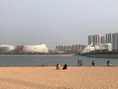 -星光岛