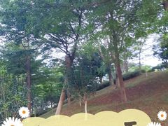 -广州国际生物岛山地公园揽胜园