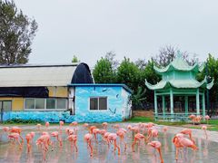 -秦皇岛野生动物园