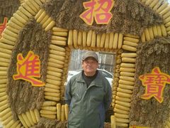 android_upload_pic-北戴河集发农业梦想王国