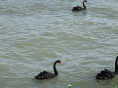 -天津东丽湖风景区