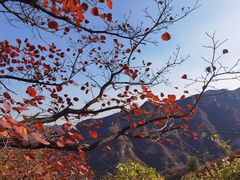-周口店坡峰岭风景区