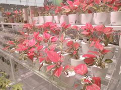 -KKV(深圳宏发大仟里店)