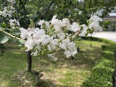 -盘门景区