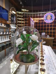 -香遇沙龙香水·调香·团建