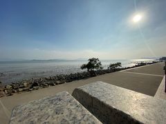 -深圳湾公园(南山区)