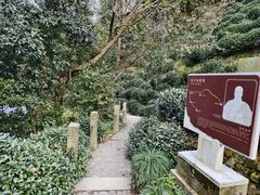-十八棵（老龙井）御茶园(老龙井店)
