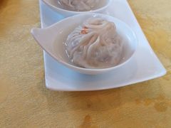 -鸭嘴鱼