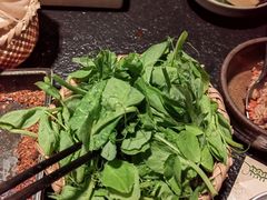 -大龙燚·旷野鲜火锅(广州首店)