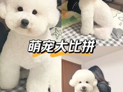 -科道动物医院·急重症中心(万达院)