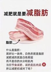 -香薇妮丝女子减肥院