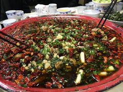 来凤鱼-东吴霸王兔(松青路店)