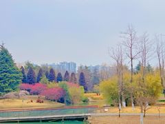 -白塘生态植物园