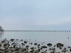 -宝安西湾红树林湿地公园