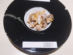 餐前小菜花螺-余欢领鲜火锅(新街口店)