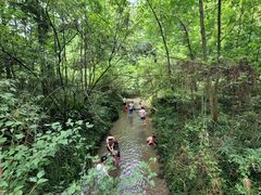 -桤木河湿地公园