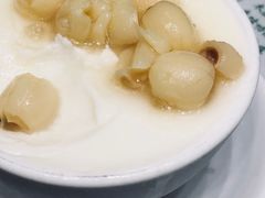 -义顺牛奶公司(新马路老店)