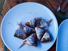 -章记正宗南岗鱼蛋火锅