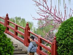 -西安华清御汤酒店