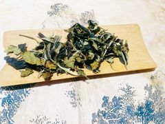 -芒嘎拉古茶馆(陆羽茶都店)