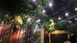 点击看大图 -谛融婚礼酒店·宴会厅(花园店)