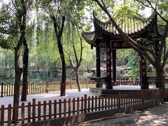 -巴山一绝烤全羊(三圣乡刘家花园店)