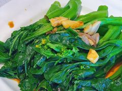 白灼菜心-春满园·早茶·粤菜·宴会(前海店)
