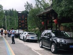 -青城甲(青城山店)