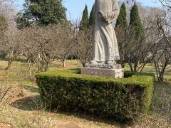 -梅花山(明孝陵内)