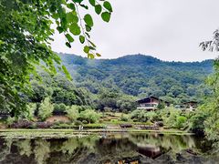 -桃花岭景区
