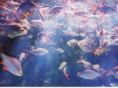 -海合安武汉极地海洋公园