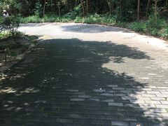 -滴水岩森林公园