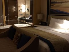 -长沙富力万达文华酒店