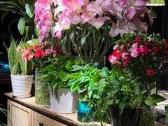 -春暖花开(西溪店)