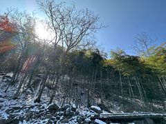 -江南天池
