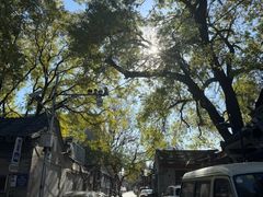 -满堂·烤鸭店·北京菜(鼓楼店)