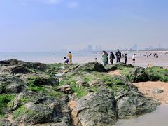 -巧克力渔家.小船海鲜胶东菜(万平口店)