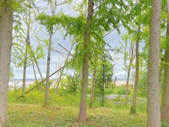 -上海长兴岛郊野公园