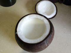 -志龙皇冠吃货椰子铺