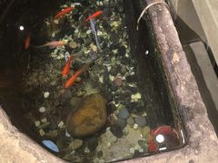 -蓉城老妈火锅(双林路店)