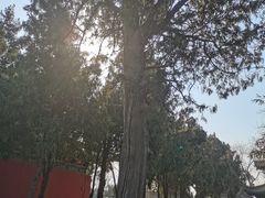 -汤阴县羑里周易博物馆