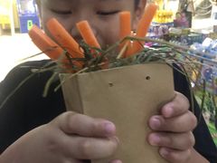 -上海大自然野生昆虫馆(东方明珠·爬宠昆虫探索中心)