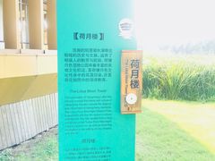 -荷塘月色湿地公园·向阳花洲