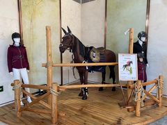 -上海崇明金茂凯悦酒店