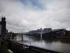 -李子坝梁山鸡(李子坝大鸡哥店)